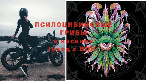 прущая мука Елабуга