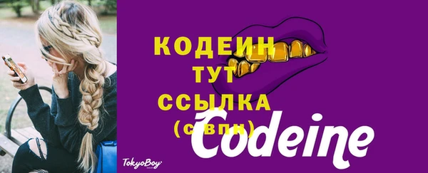 ECSTASY Ельня