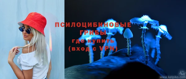 ECSTASY Ельня