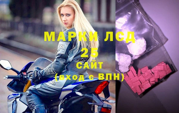 ECSTASY Ельня