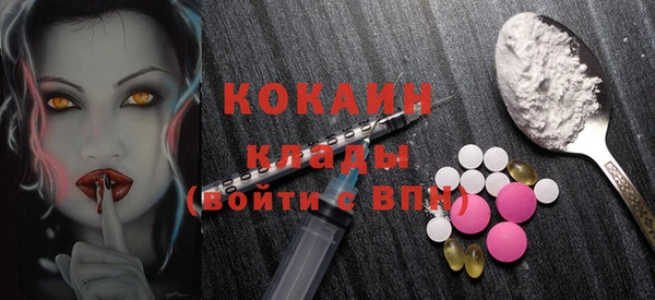 ECSTASY Ельня