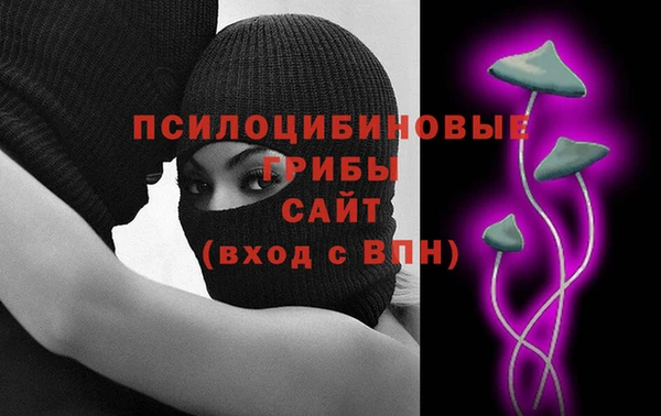 ECSTASY Ельня