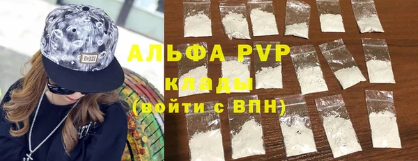 ECSTASY Ельня