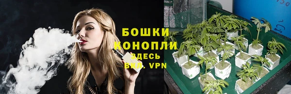 прущая мука Елабуга