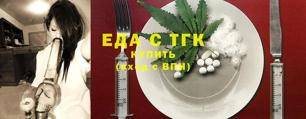 ECSTASY Ельня