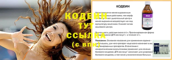 прущая мука Елабуга
