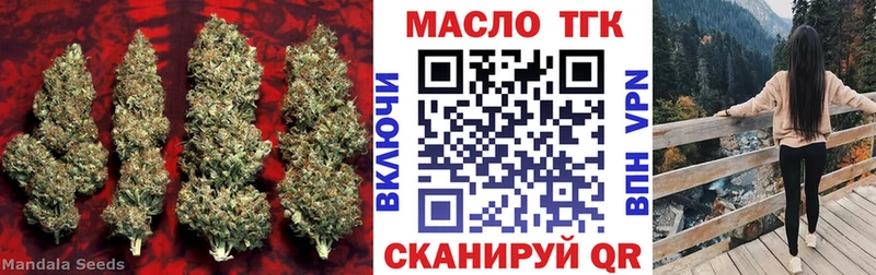 shop состав  Каменногорск  ТГК THC oil 