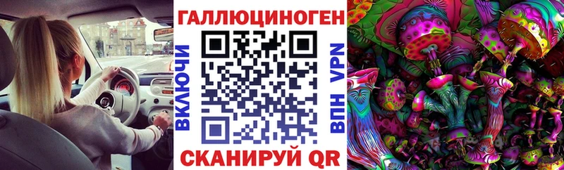 наркотики  Каменногорск  Галлюциногенные грибы мухоморы 